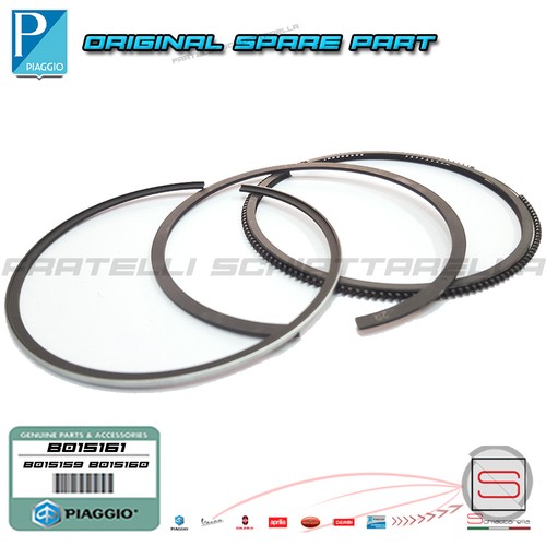Kit fasce segmento raschia - segmento,